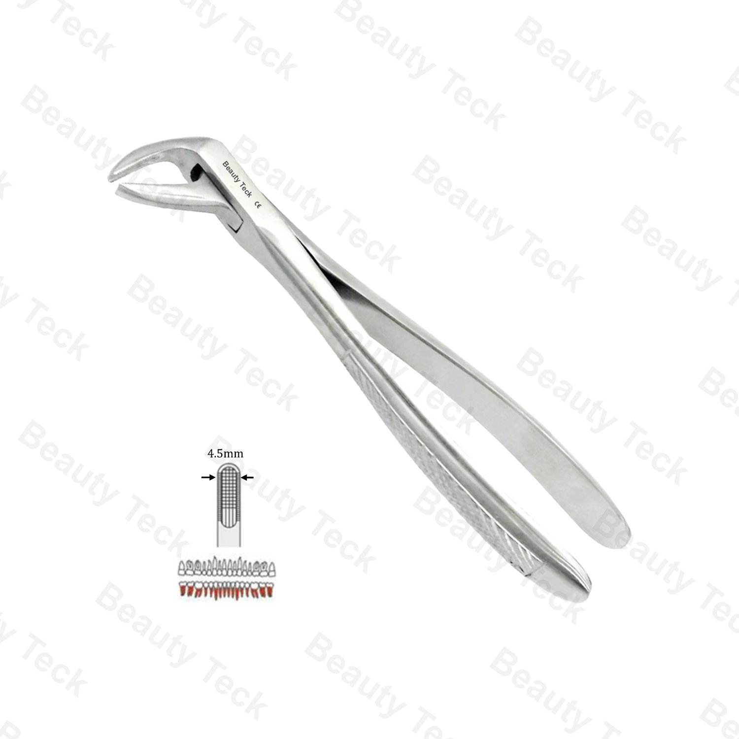 74 Lower Roots EF, Serrated, EU